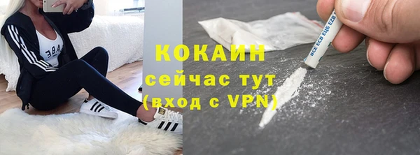 индика Аркадак