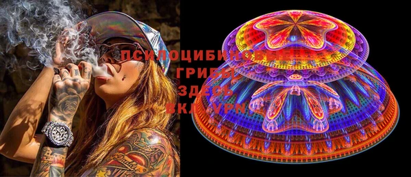 прущие грибы Арсеньев