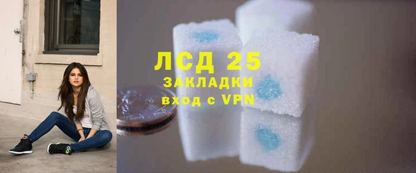 прущие грибы Арсеньев
