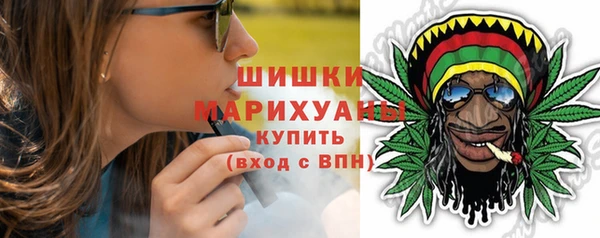 прущие грибы Арсеньев