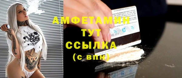 индика Аркадак