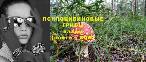 первитин Армянск