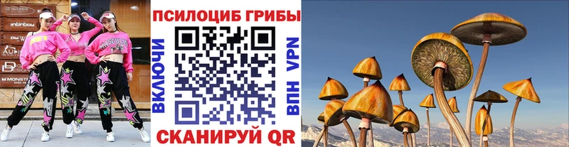 Галлюциногенные грибы Cubensis  Давлеканово 